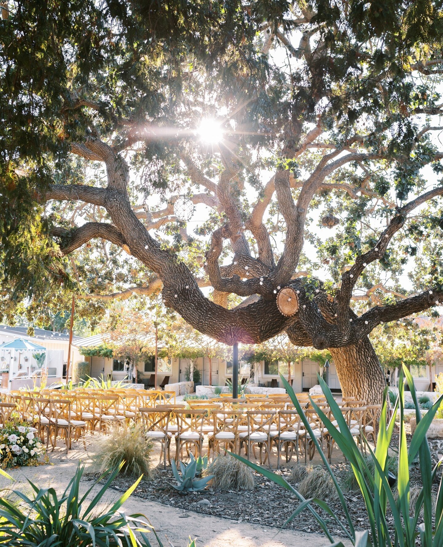 Fit for a fairytale ✨ Contact our events team to make your dream wedding a reality - link in bio. ⁠
⁠
.⁠
.⁠
.⁠
⁠
Photo: @wisteriaphotography