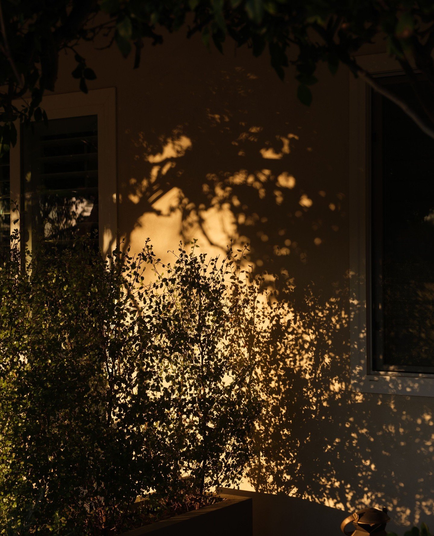 Golden hour&rsquo;s quiet reminder to slow down and take it in ☀︎⁠
⁠
Photo: @simranmalik