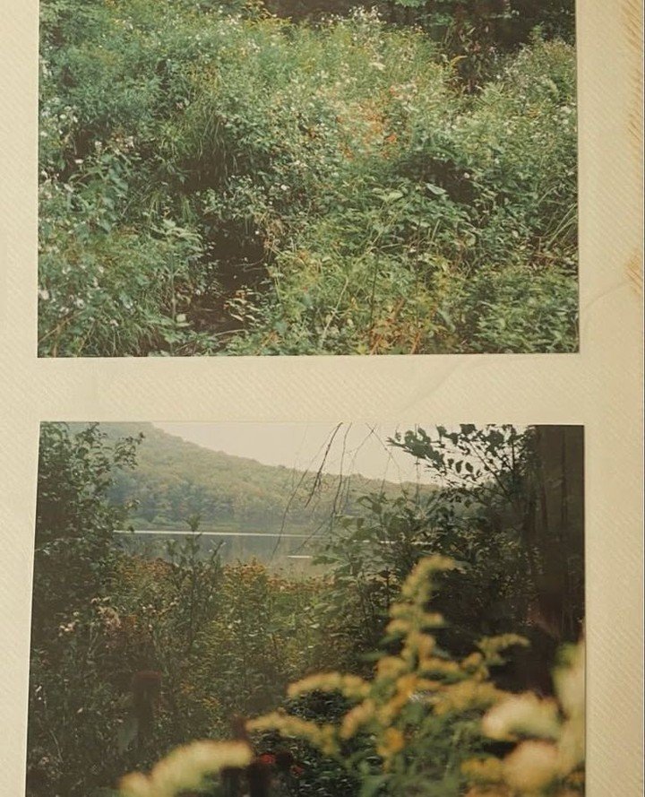 A quiet remembering of nature's wisdom.