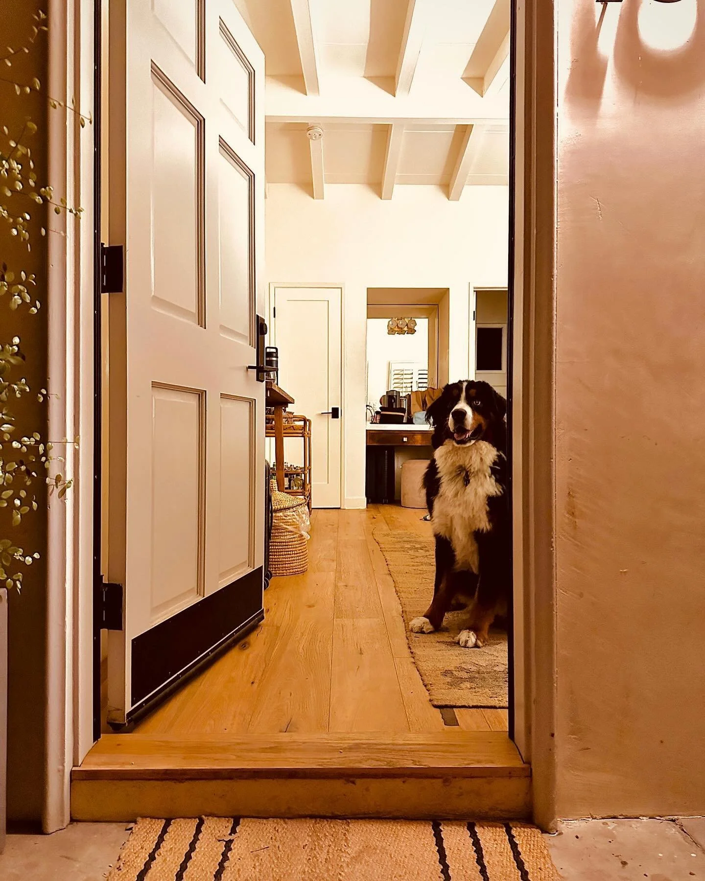 Get your travel companion&rsquo;s tail wagging with an in-room welcome kit that includes a special treat, souvenir toy, bandana, tote, and a loaner bowl and feeding mat 🐕️ ⁠
⁠
*Package does not include pet fee. Upon check-in, a charge of $50 per dog