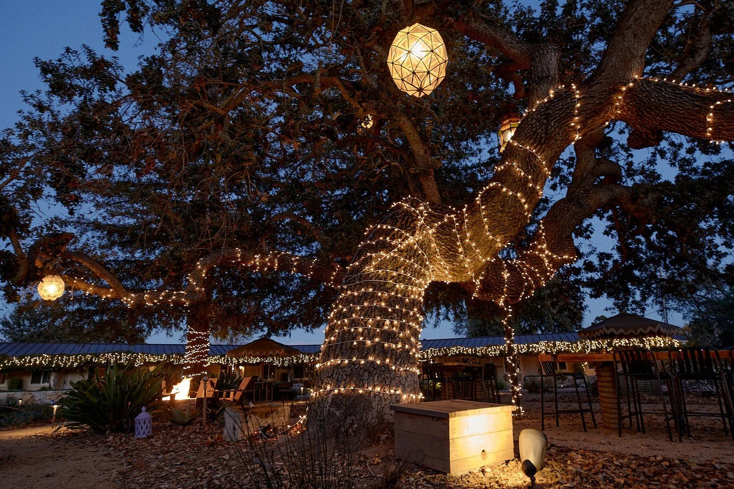 Don't forget to look up ✨️