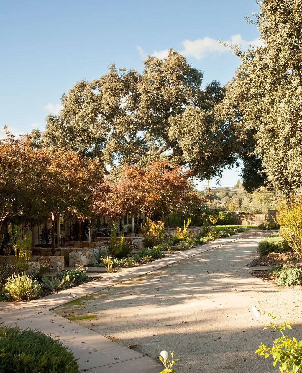 Winter in Santa Ynez has its own kind of glow ✨️