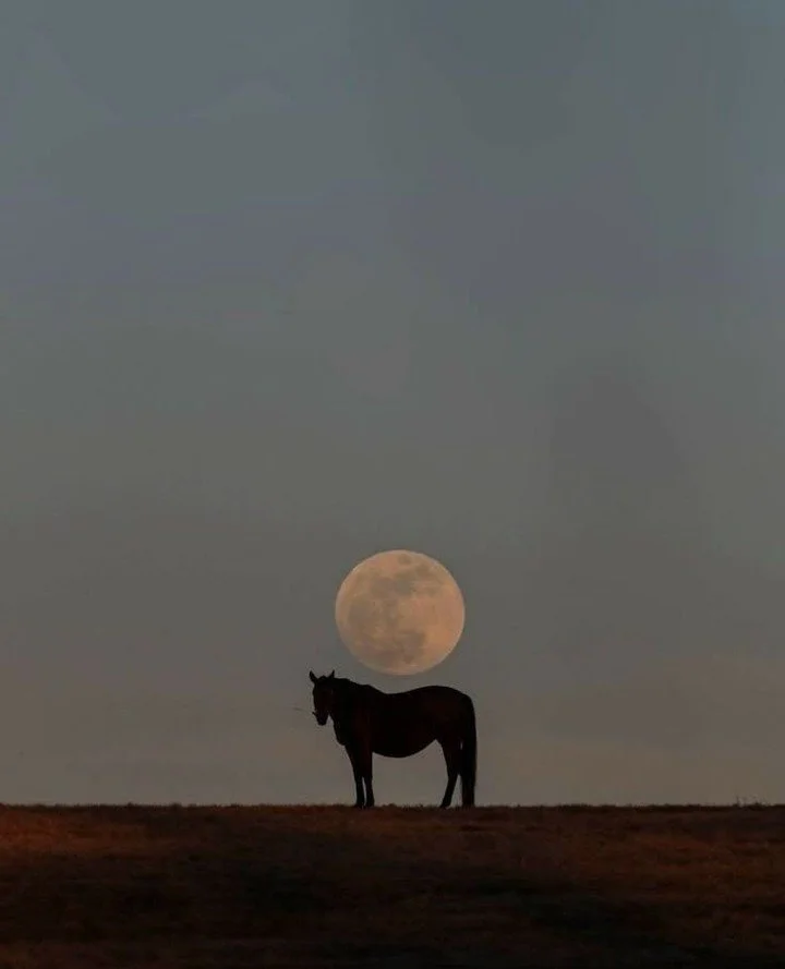 As we step into 2026, take a moment to pause and reflect ✨ Think back on all the moments big and small, that have shaped your year and brought you here. What memories will you carry forward? What intentions will you set for the year ahead? And what w