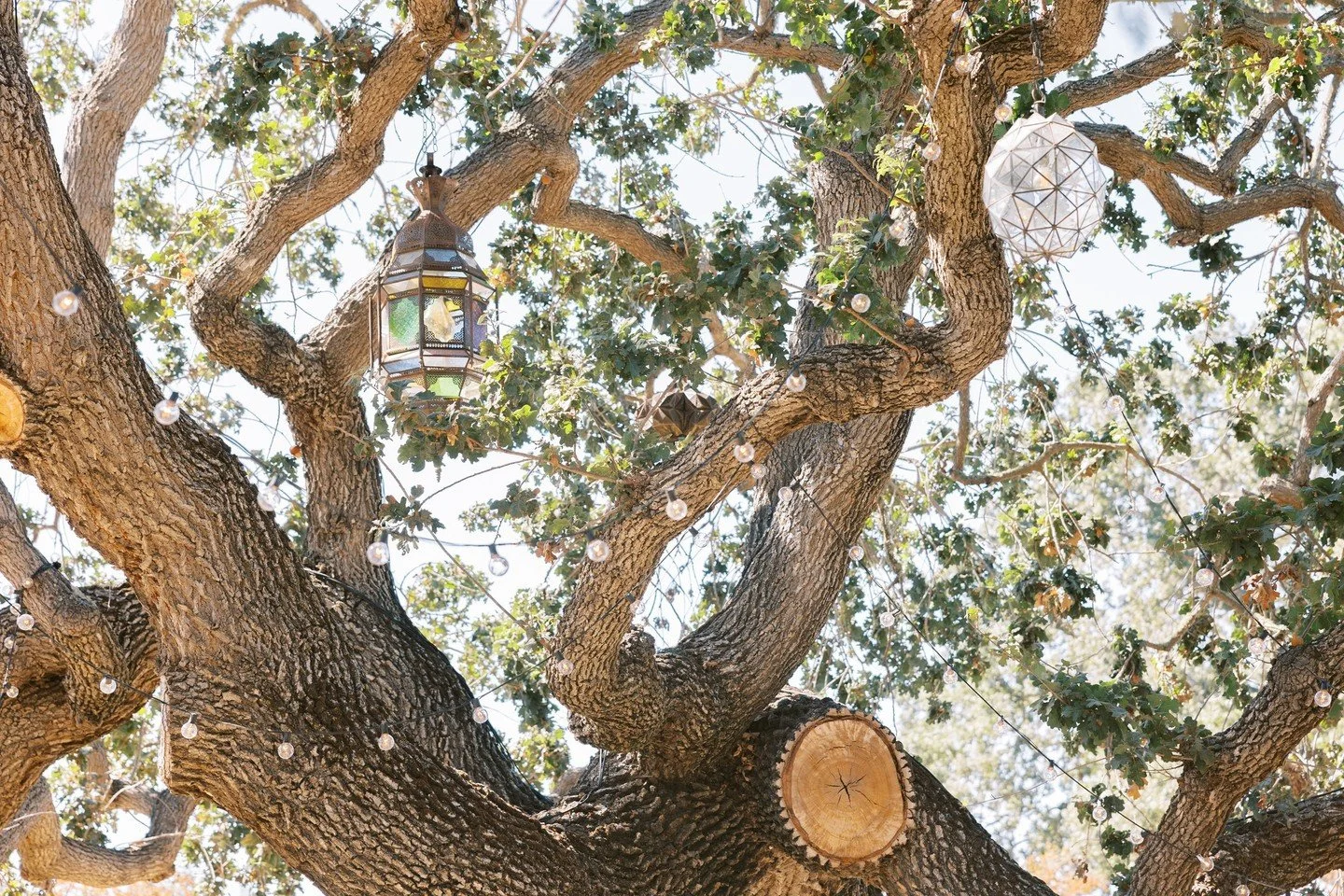 Moroccan magic 💫 ⁠
⁠
Captured by wisteriaphotography