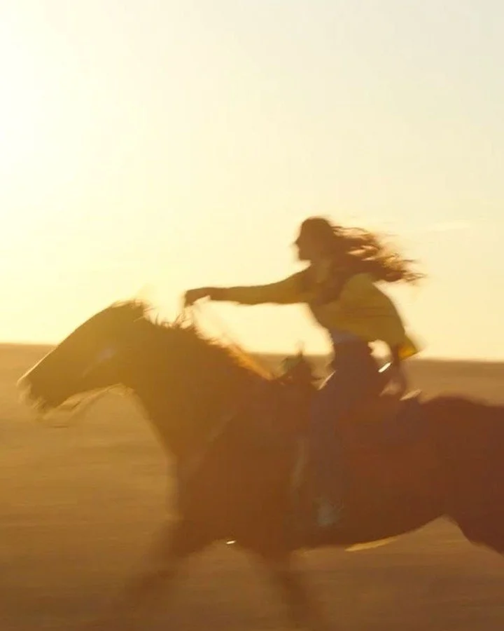 As we step into the Year of the Horse, we embrace strength, freedom, and forward momentum. May this chapter carry you down a path full of promise. Ride hard, rest easy.