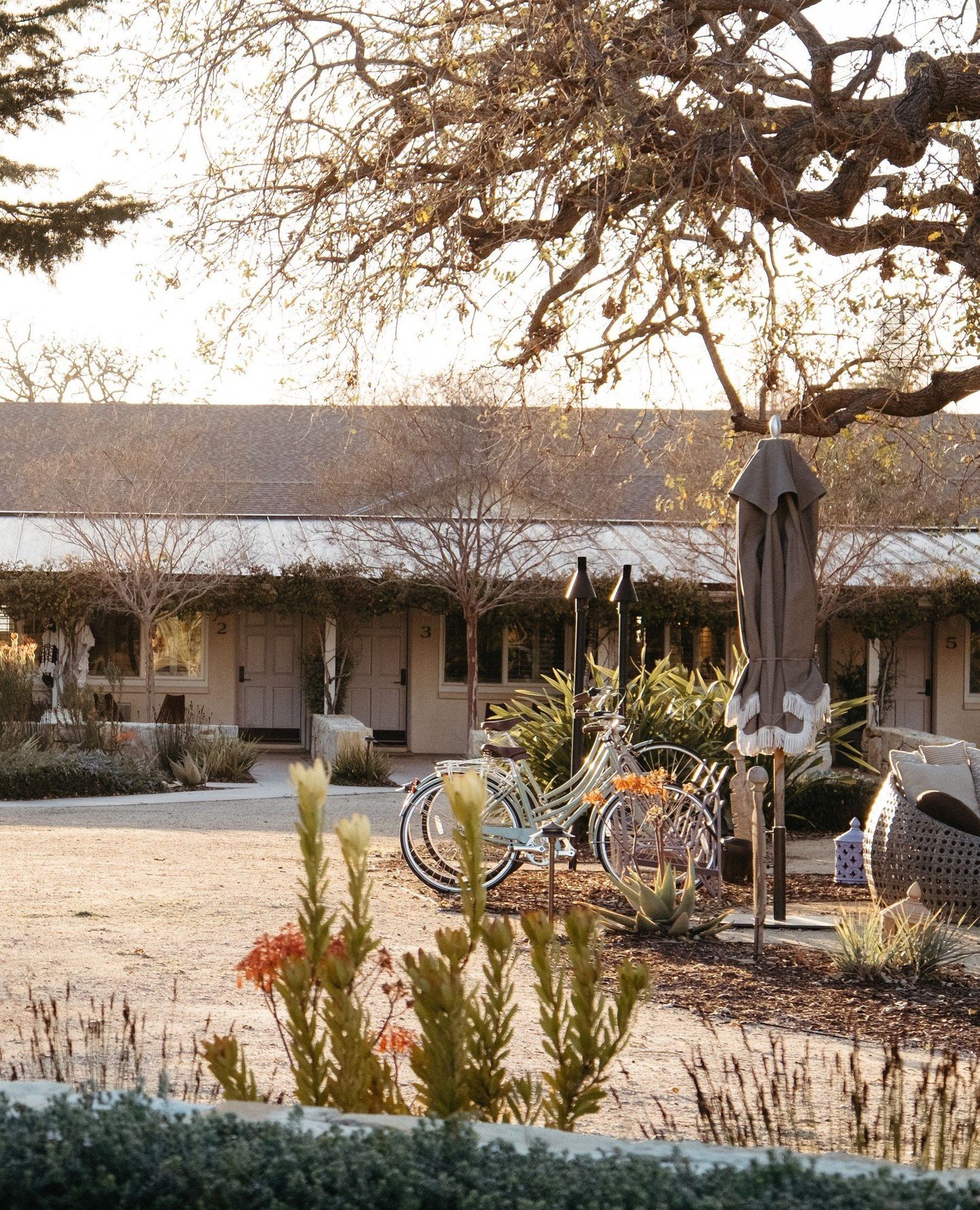 Embracing the in-between season with space to breathe and time to daydream. We&rsquo;re here when you&rsquo;re ready for a little pause. ⁠
⁠
.⁠
.⁠
.⁠
⁠
Photos: @simranmalik