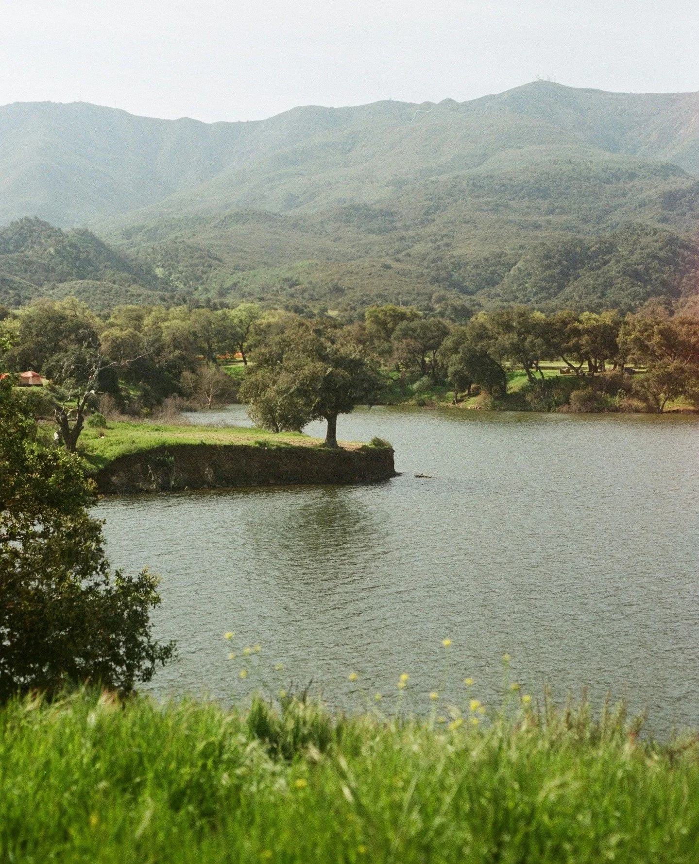 Signs of spring are spreading across @visitsyv 🌿🌼 Discover what's in season &mdash; find our guide to local happenings and adventures on the @nomadahotelgroup Journal, linked in bio.