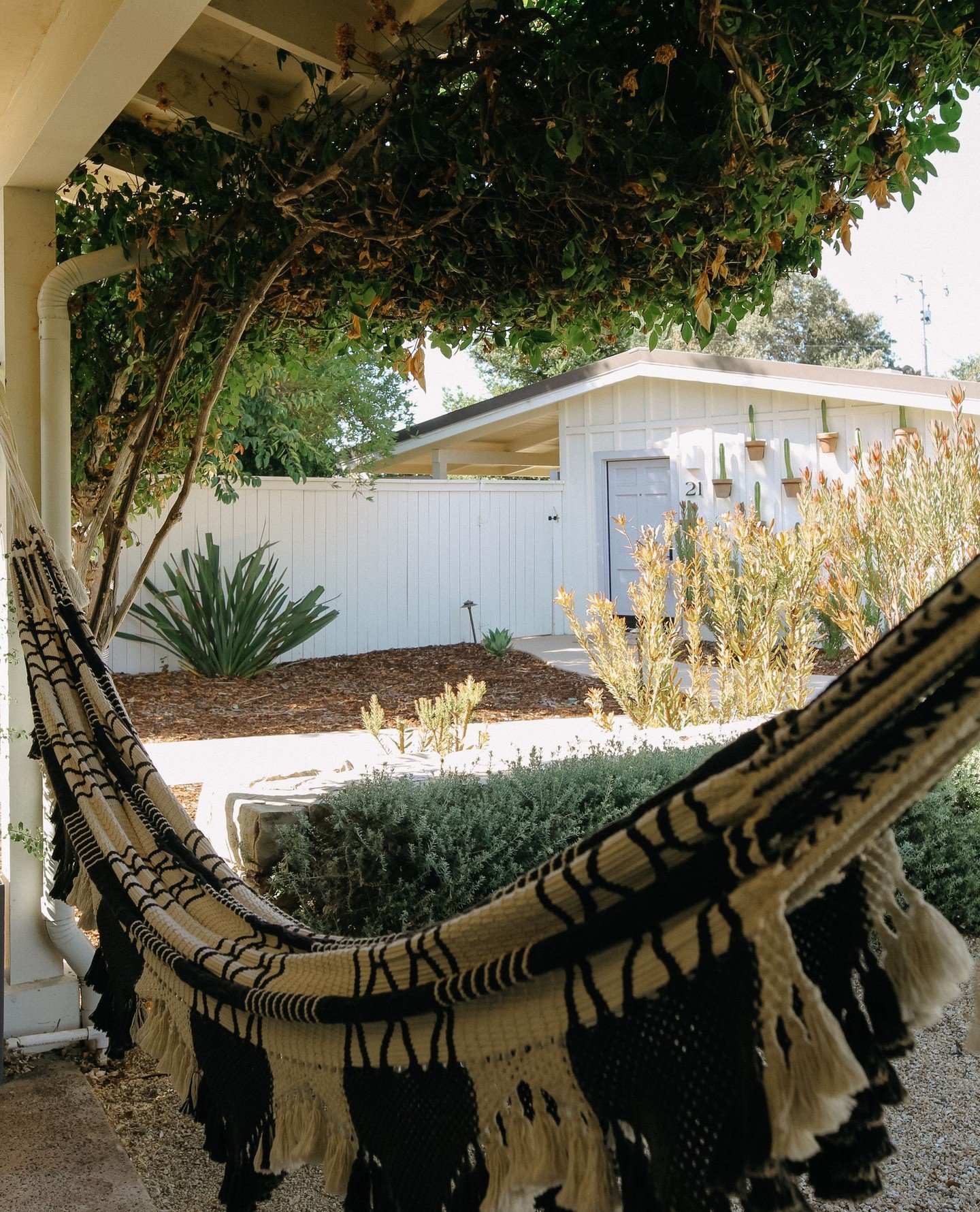 This might sway your plans.