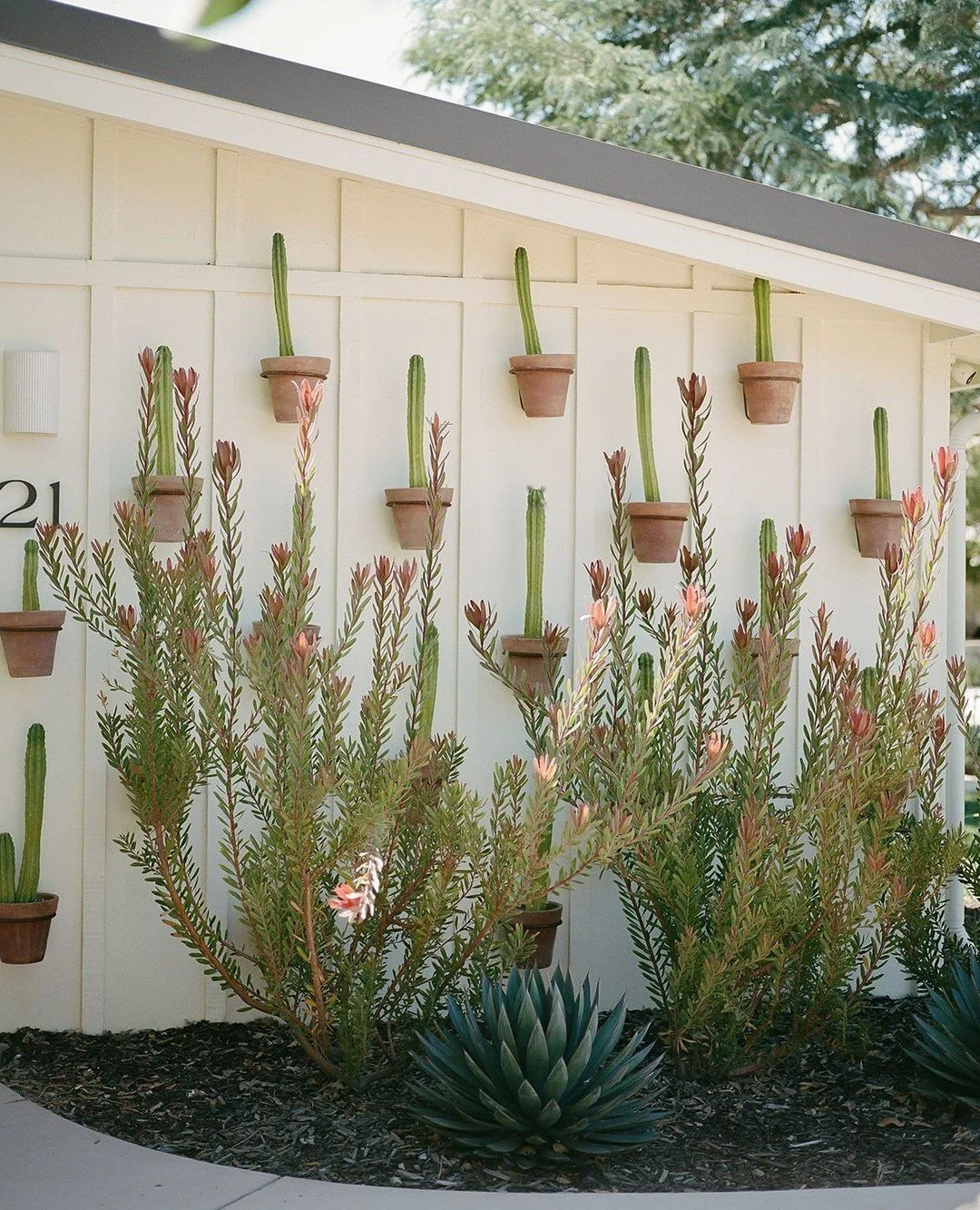 ⁠Up with the sun 🪴 ⁠
⁠
.⁠
.⁠
.⁠
⁠
Photo: @bethandkenziephoto