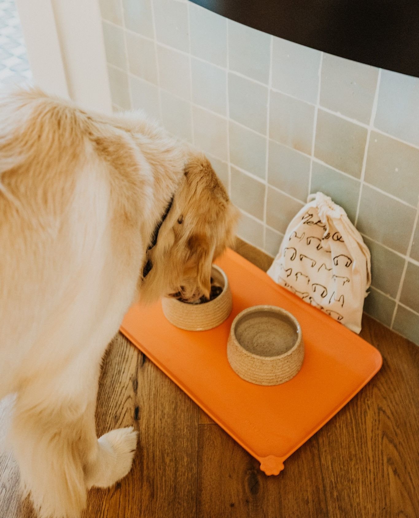 When you book our Very Important Pup package, your room will be set with bowls and a doggie bag filled with a treat, souvenir toy, and bandana 🦴 ⁠
⁠
.⁠
.⁠
.⁠
⁠
Photo: @keladiscope