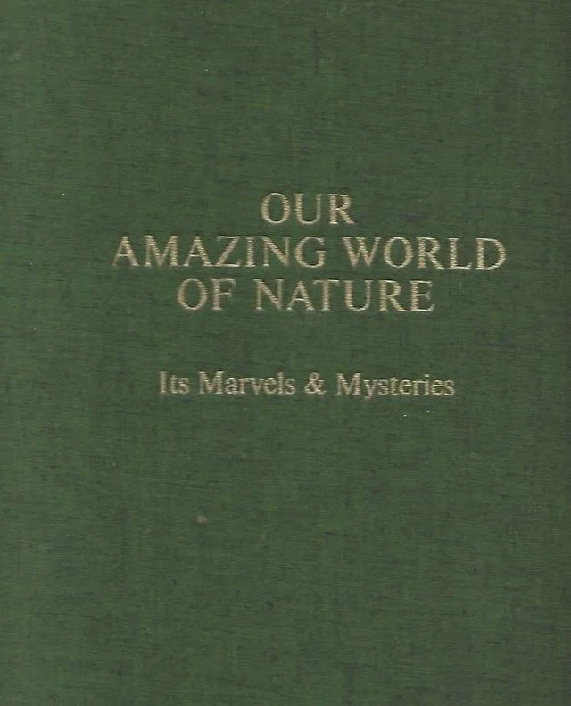 The more you look, the more you find 🌿 #EarthDay