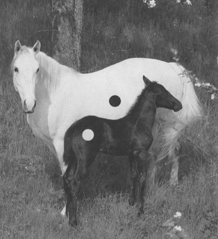 To the ones who shape us &mdash; Happy Mother's Day ☯️