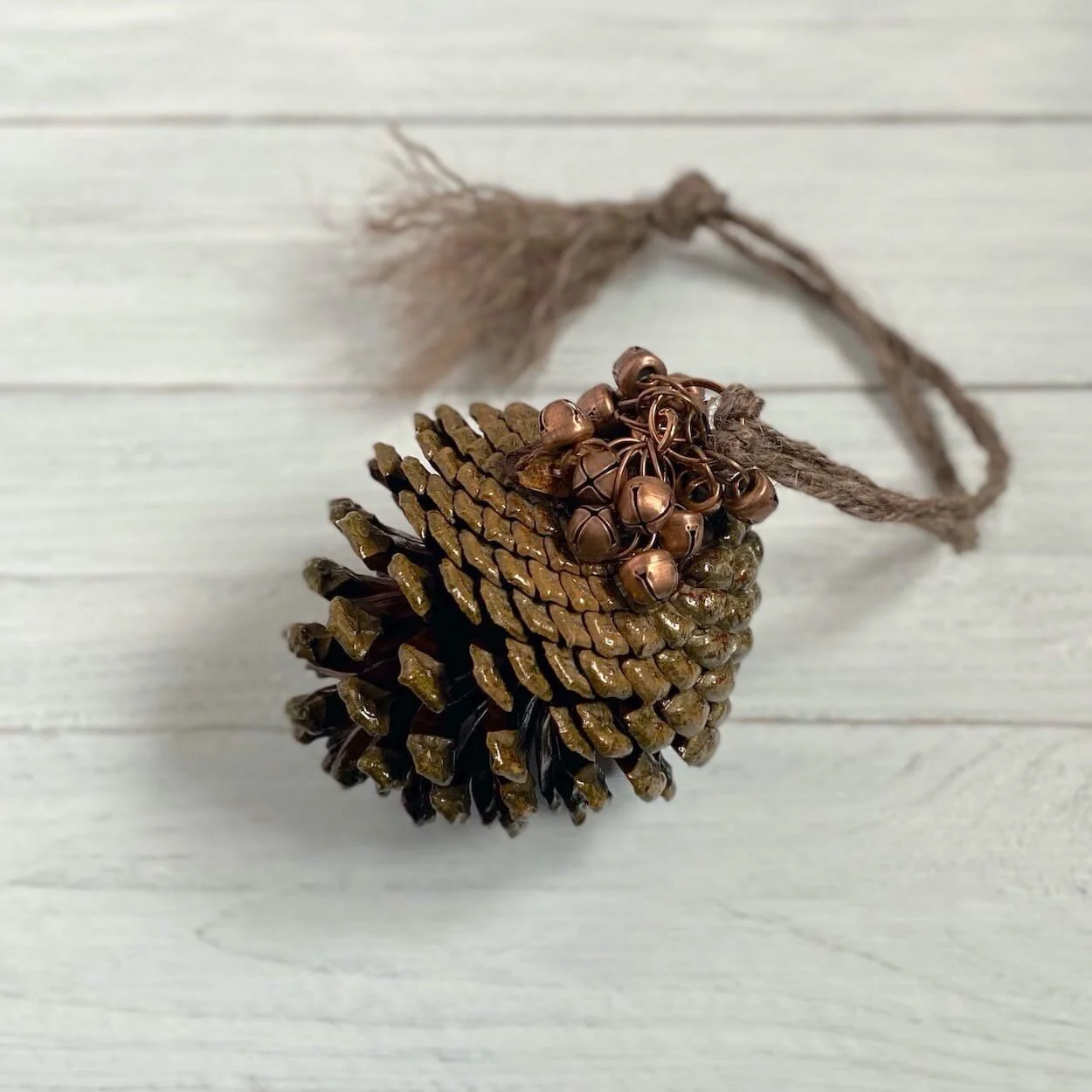 Extra Large Pine Cones Belled or Bowed Grant & Budds
