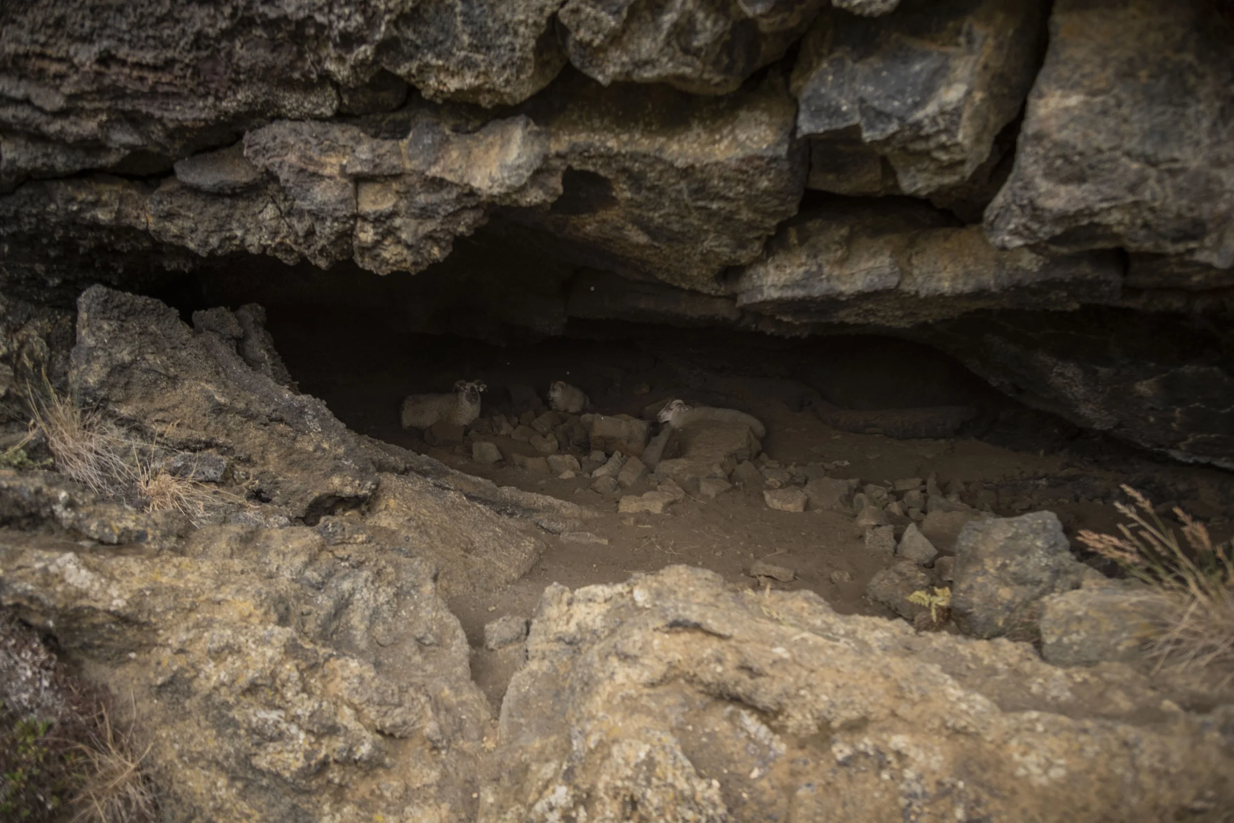 2026-08-29_Iceland018.JPG