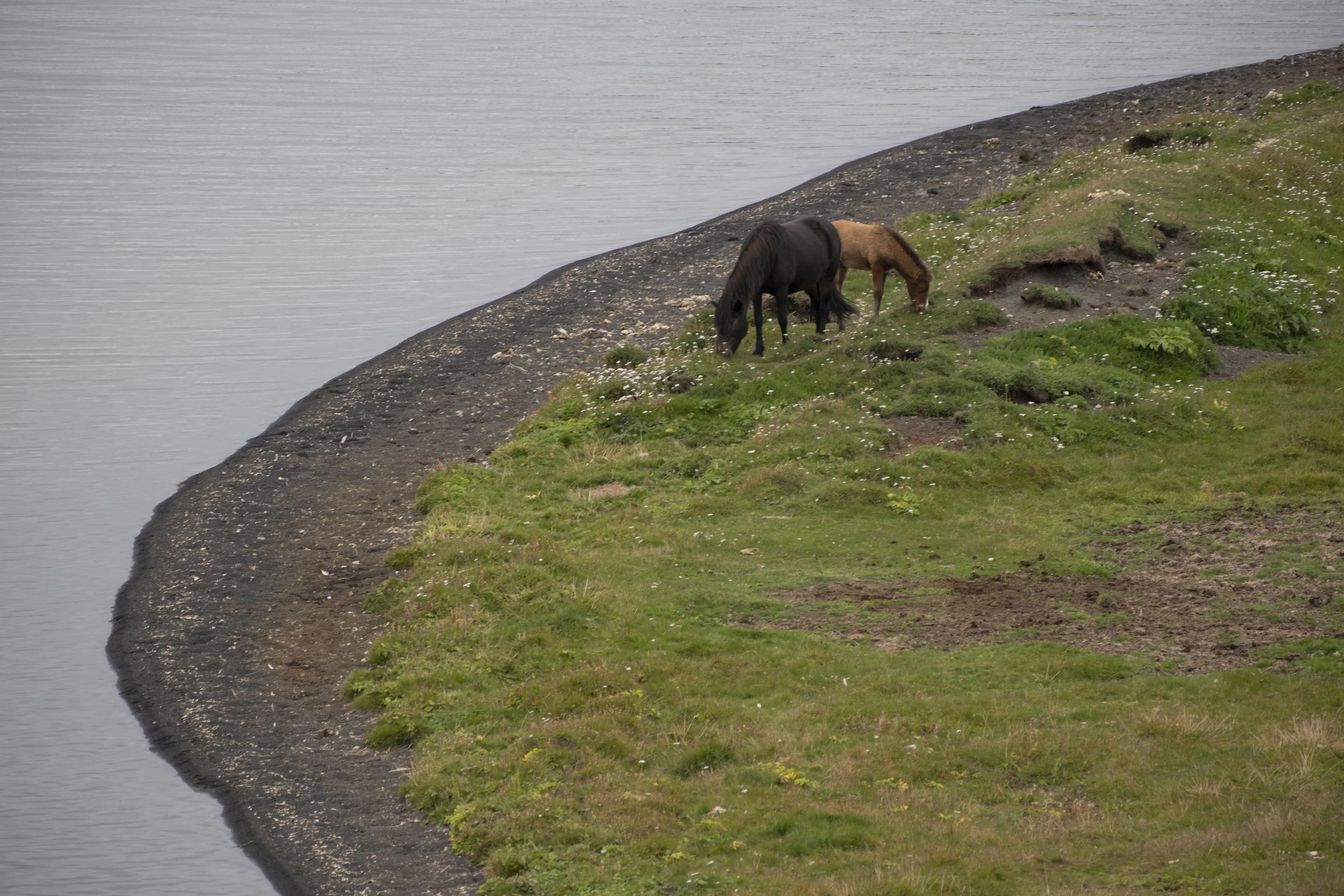 2026-08-29_Iceland017.JPG