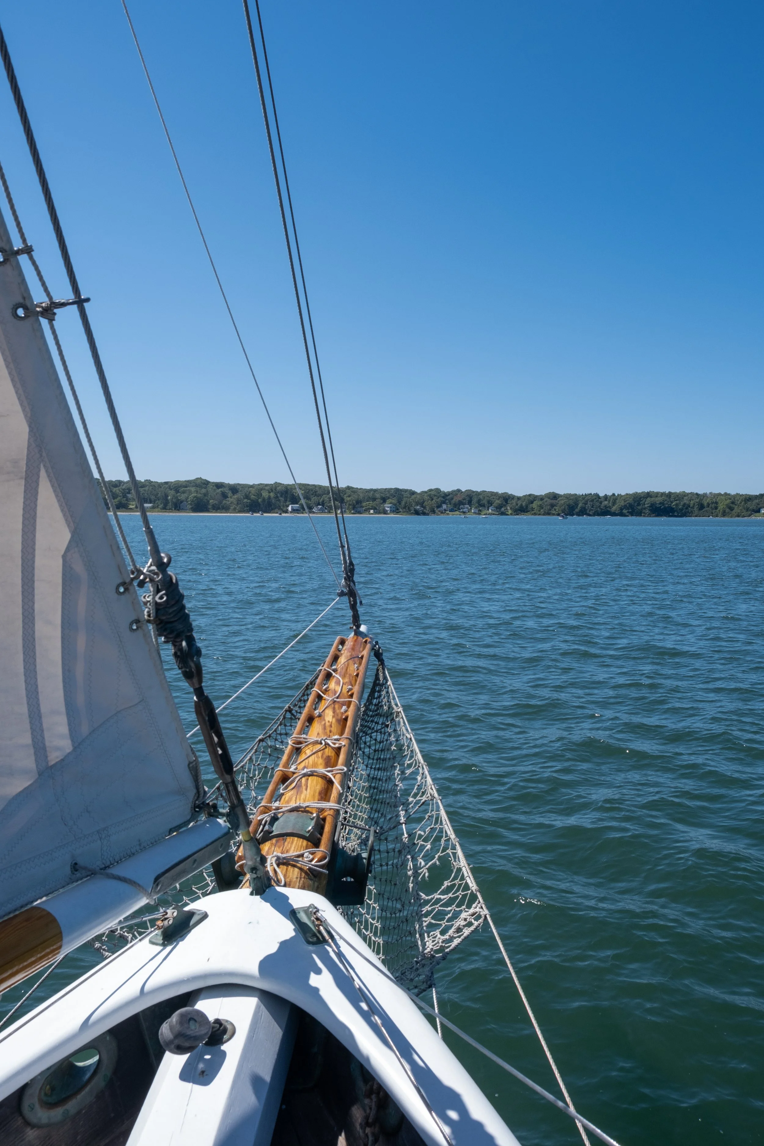 Maine_09-06-24-11.jpg