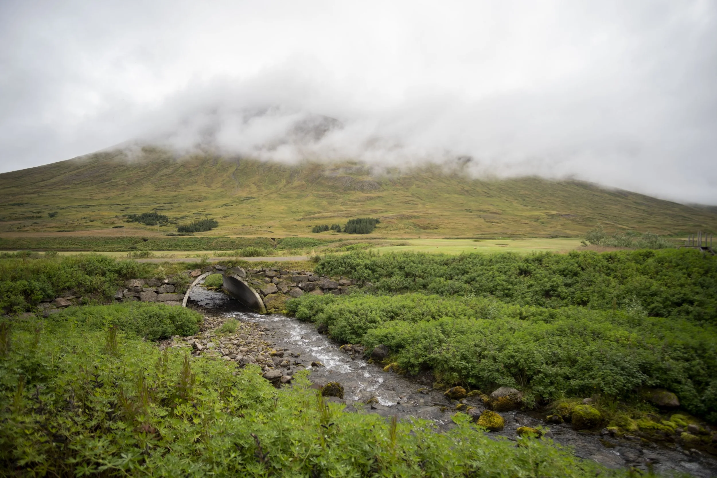2026-08-29_Iceland040.JPG
