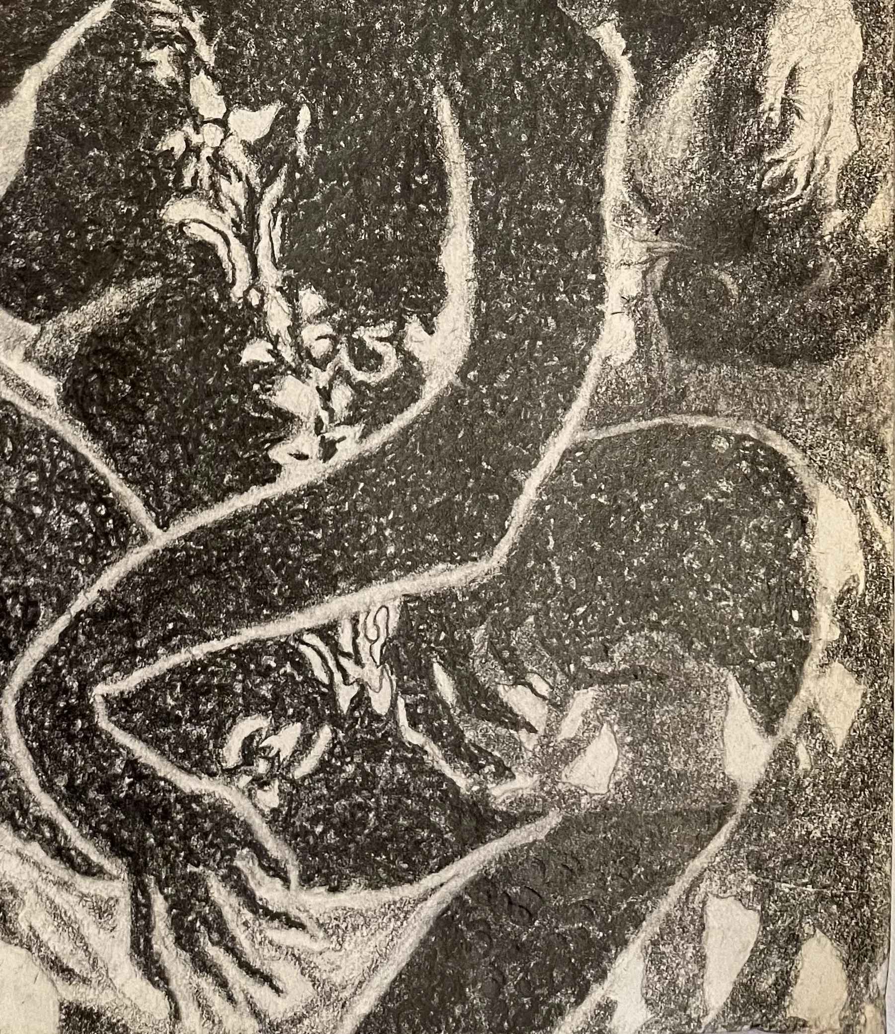 Sisters in the Wilderness Close up, 2025, Graphite on Mixed Media paper, 8 IN. X 11 IN.