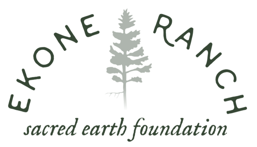 Screenshot 2026-02-20 at 10.50.36 AM.png