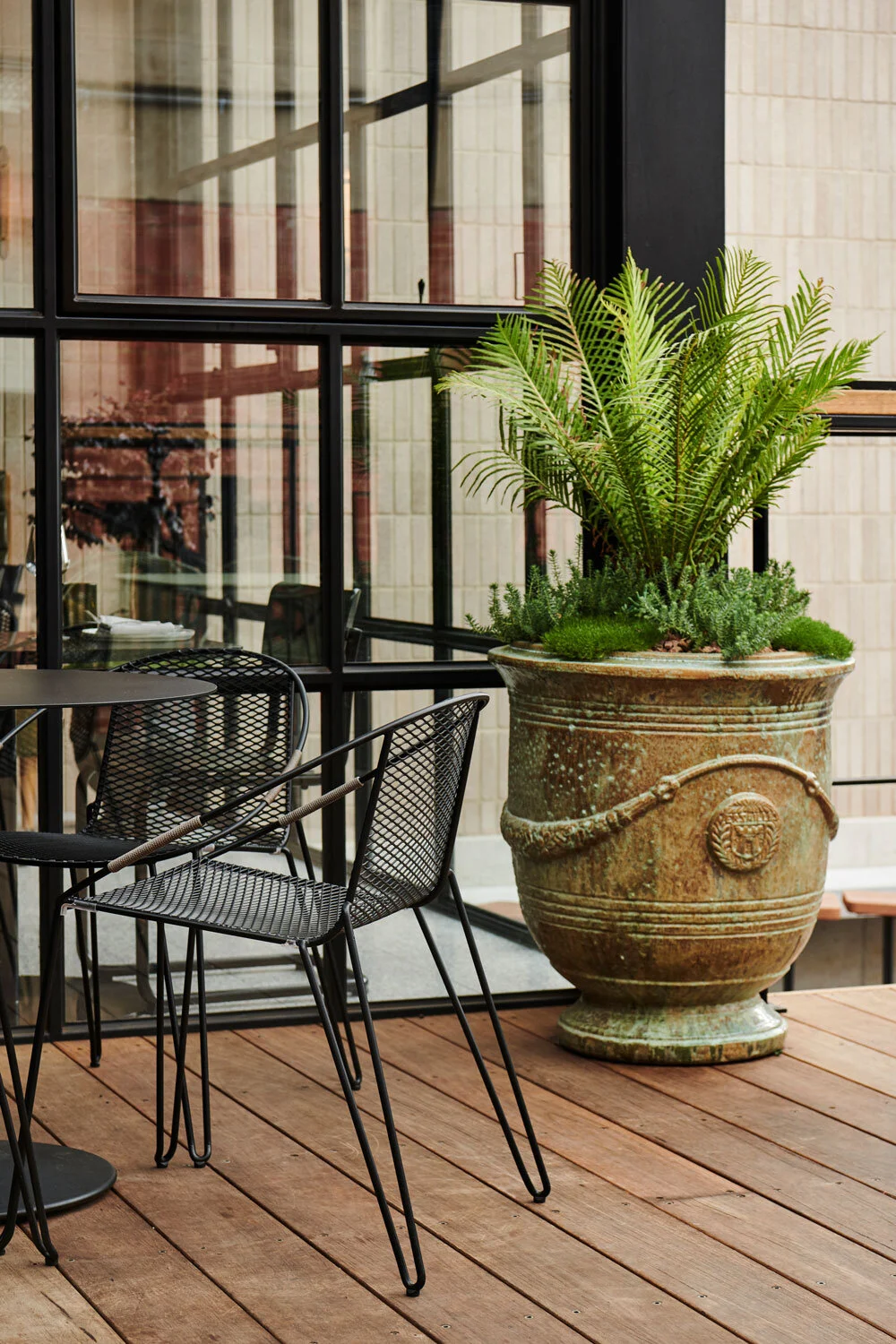 Gallery The Arborist