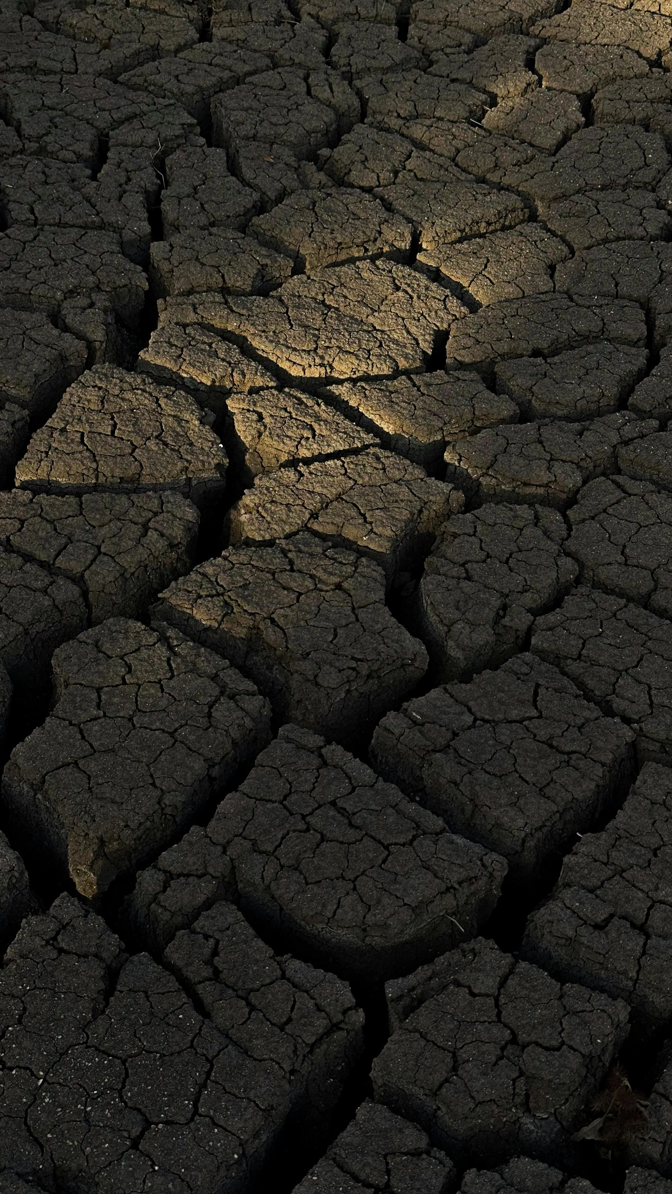 Day 1: Dry and Aware