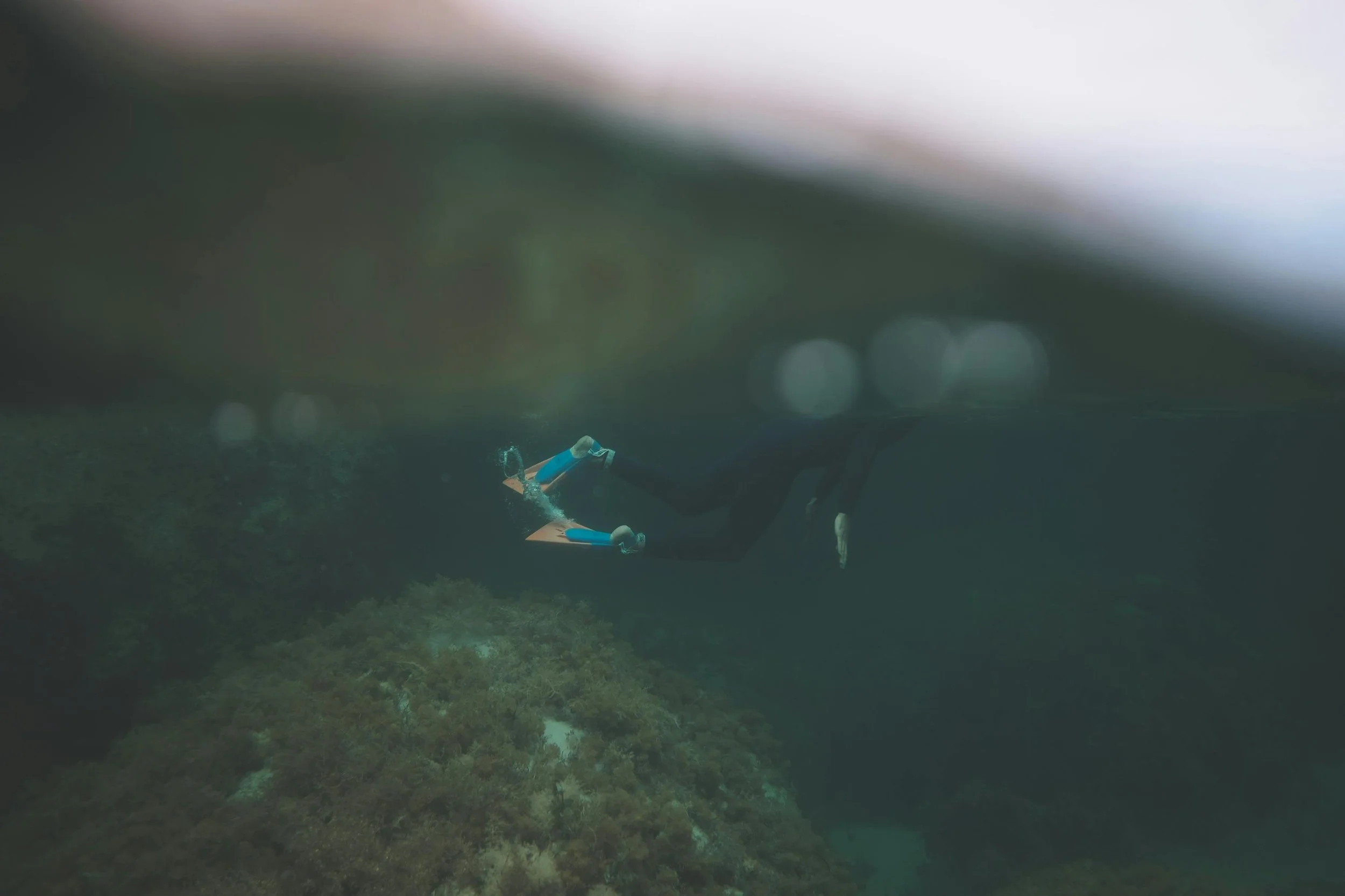 Day 7 — Only One Source