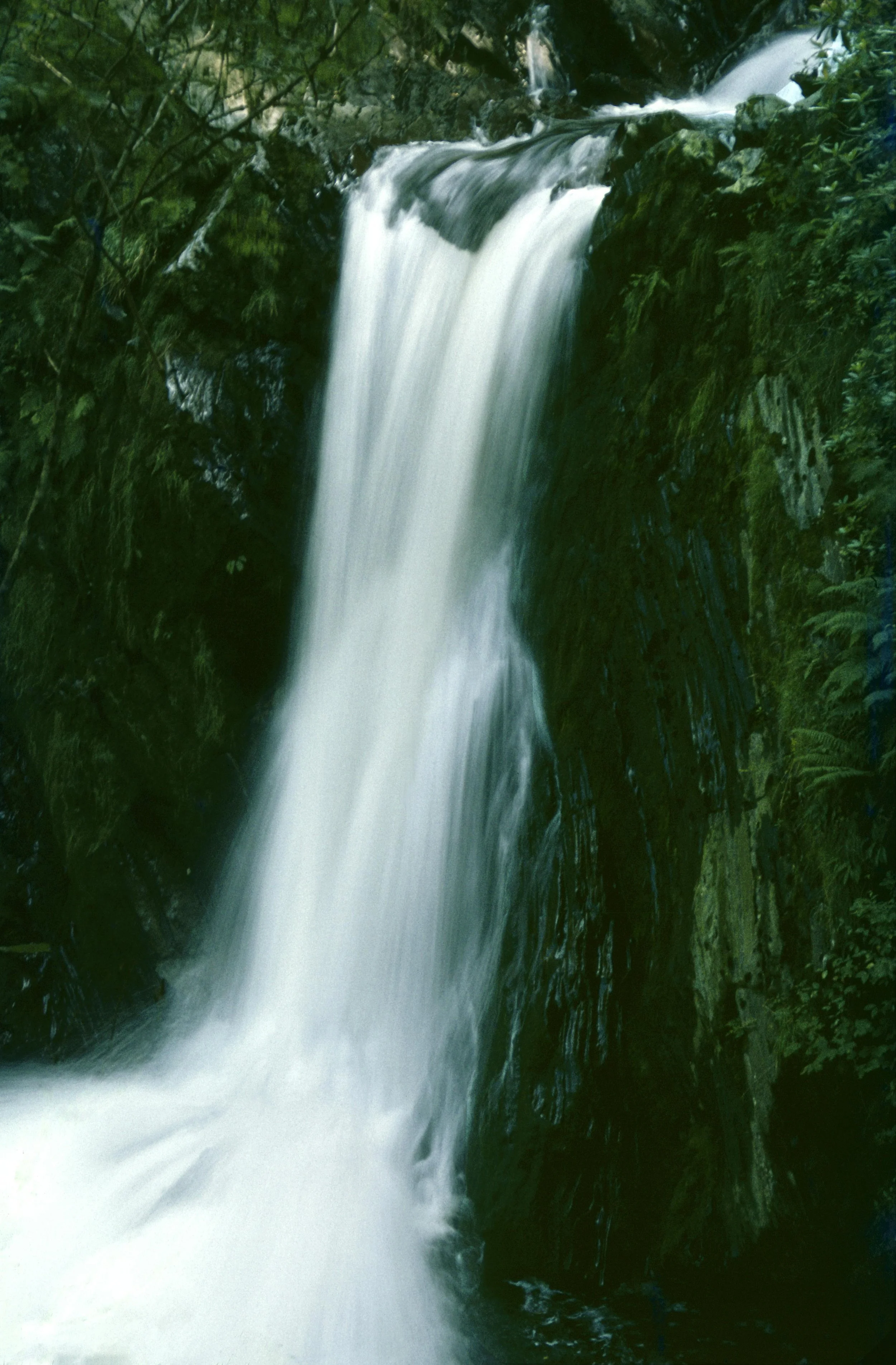 DAY 15 — FROM THIRST TO RIVERS