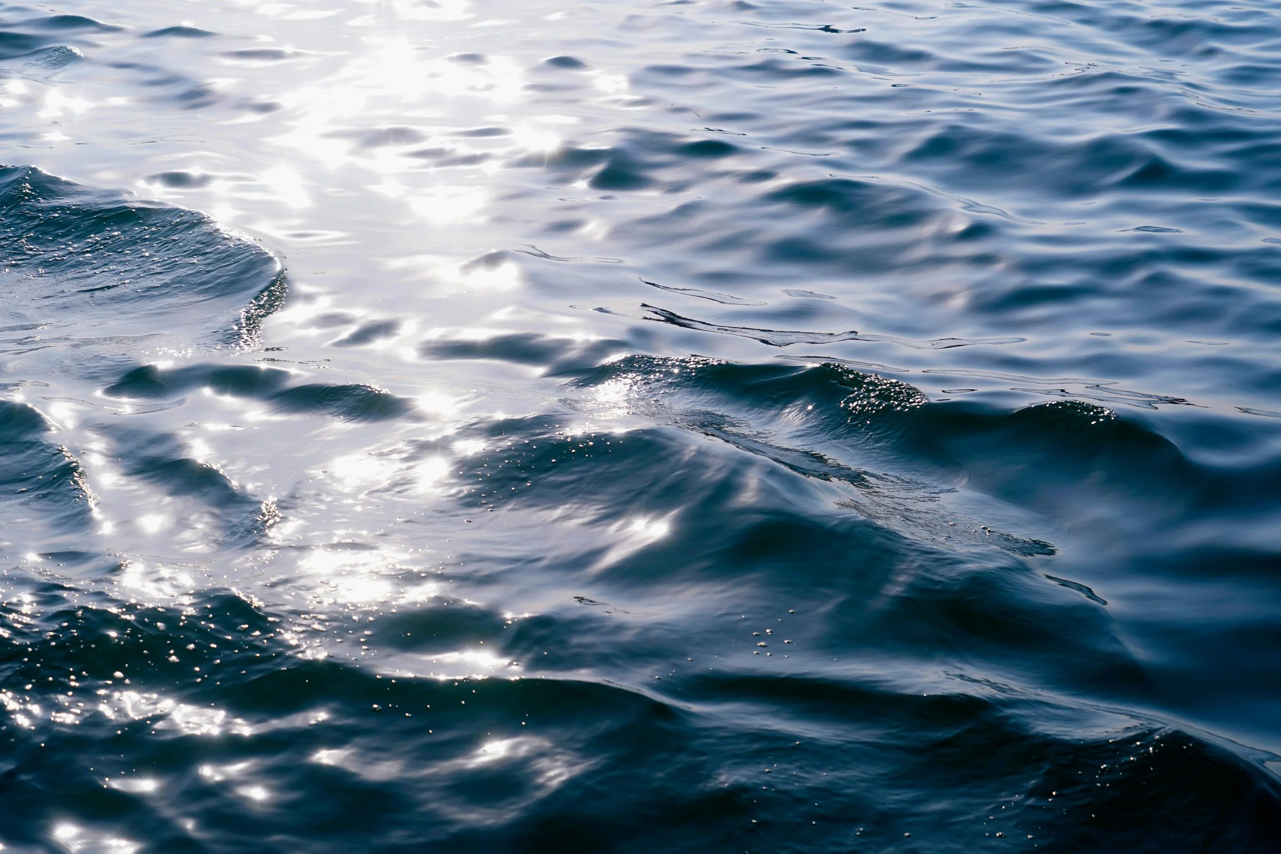 DAY 20 — SATISFIED IN GOD ALONE