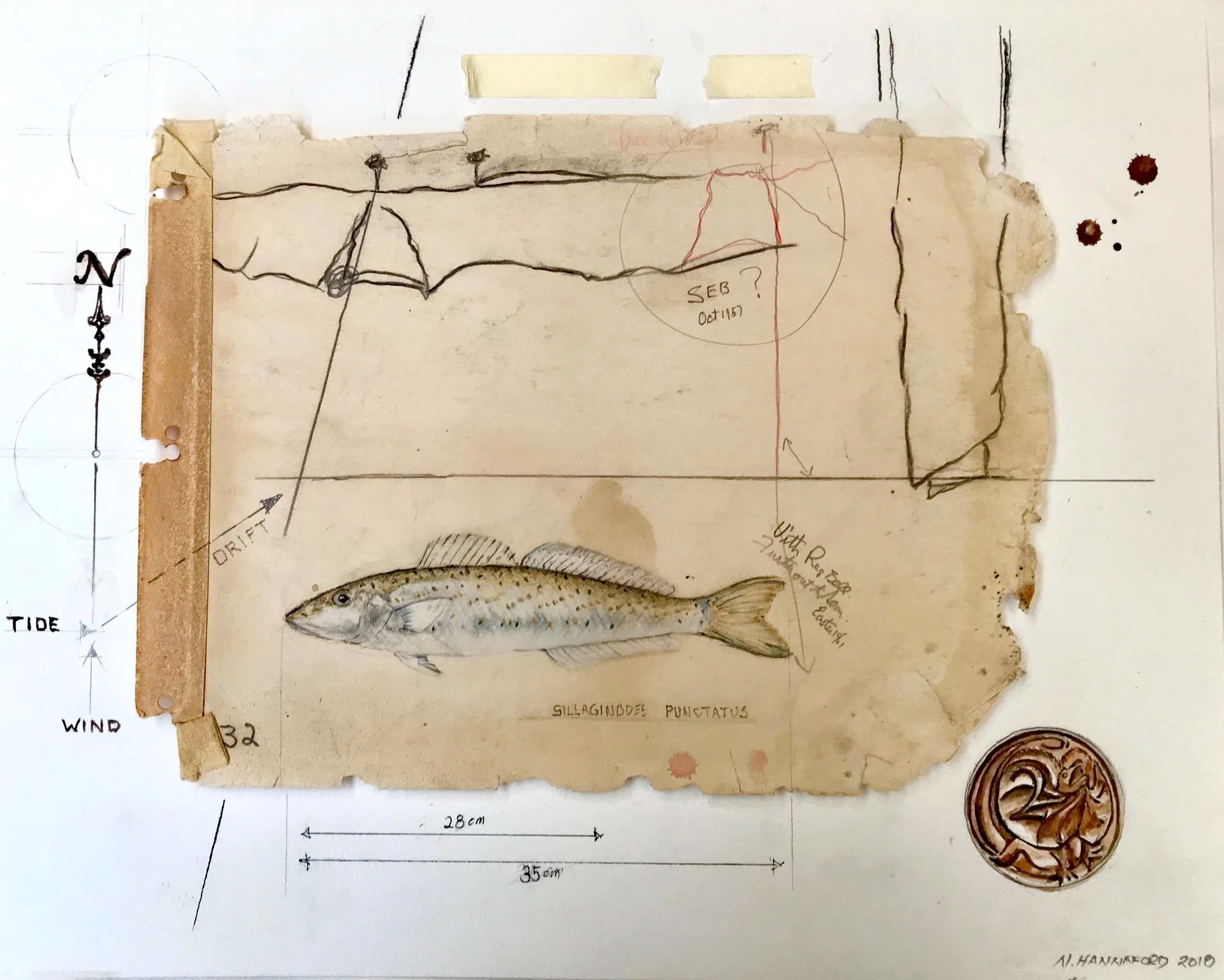 'Lines Of Sight' - Nick Hannaford