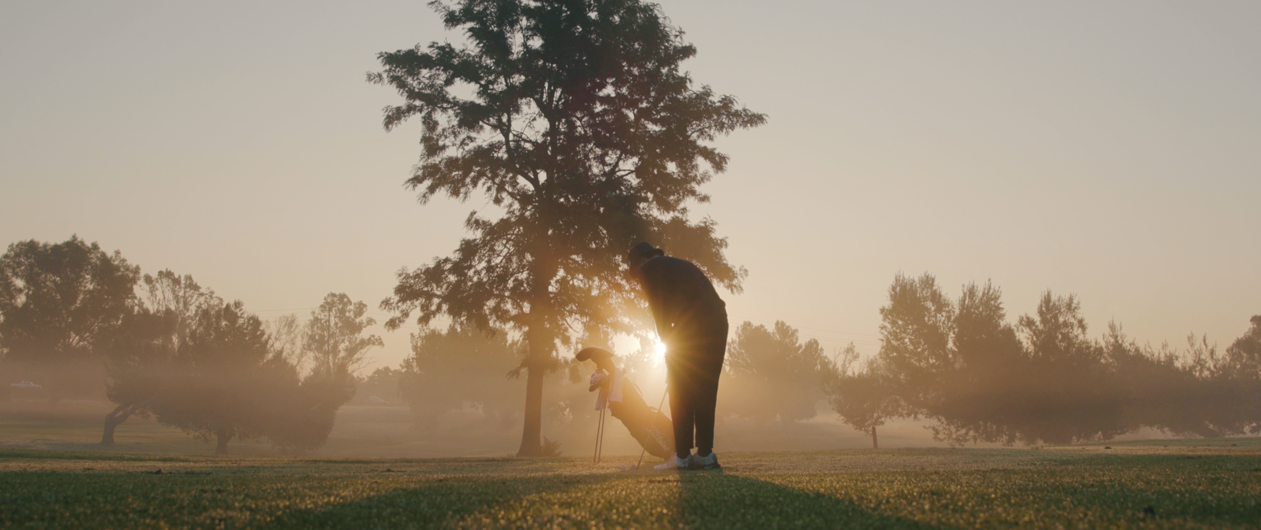 A golfer practicing on a golf course at sunrise or sunset, with a large tree and other trees in the background, and sunlight shining through the trees.
