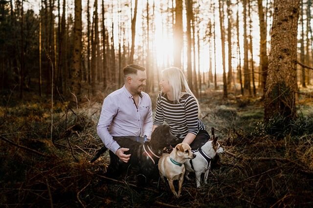 Last shoot pre lockdown 🌿 Had such a great time exploring Tollymore with these five!! Holly the Cocker Spaniel was just delighted to be in the middle of it all! 🤣