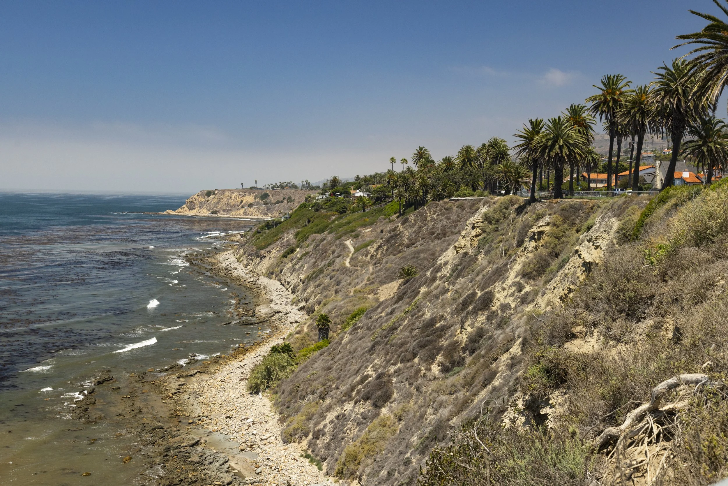 20250707 1230 Silvius Ave_K237572.jpg
