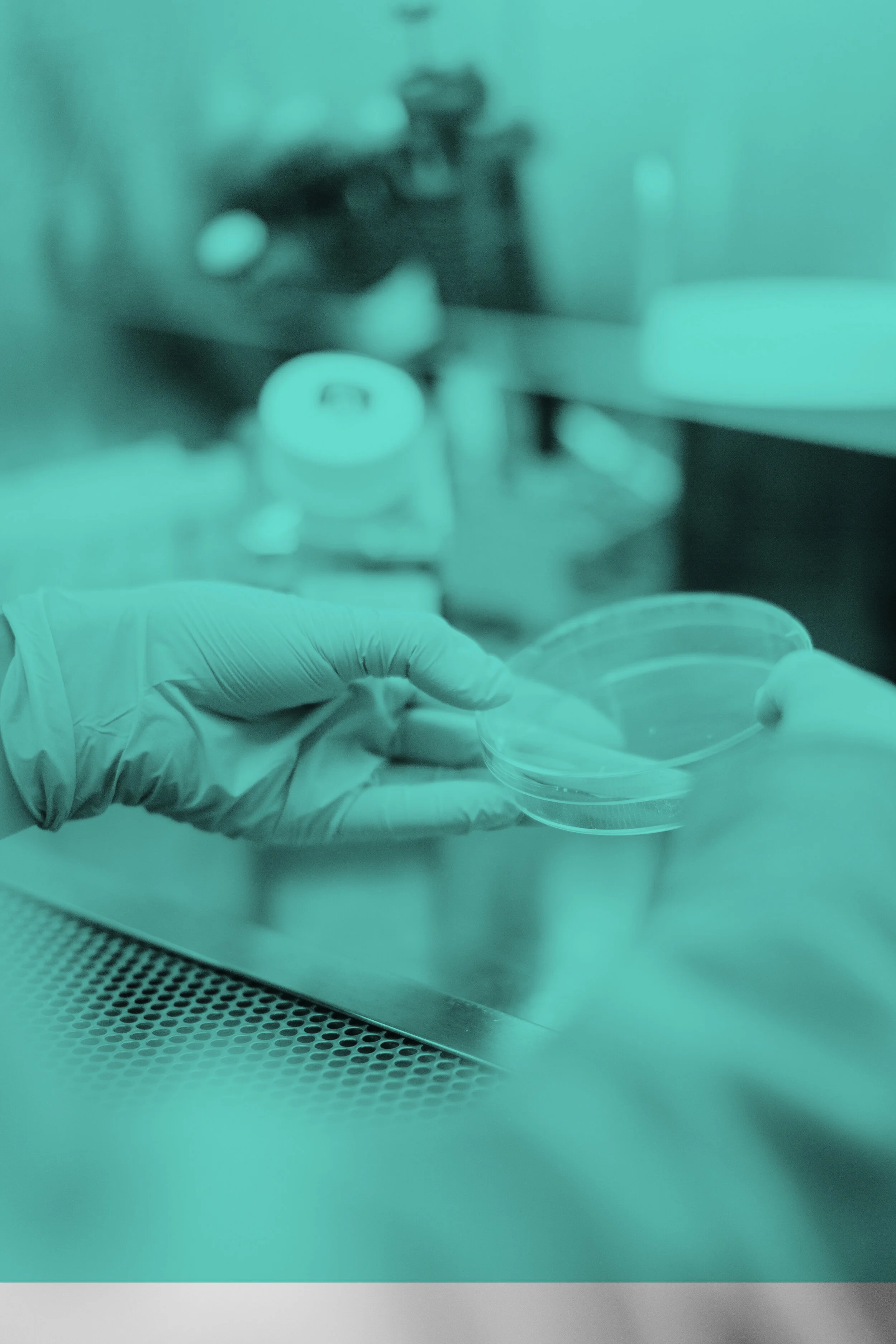 drew-hays-tGYrlchfObE-unsplash copy.jpg