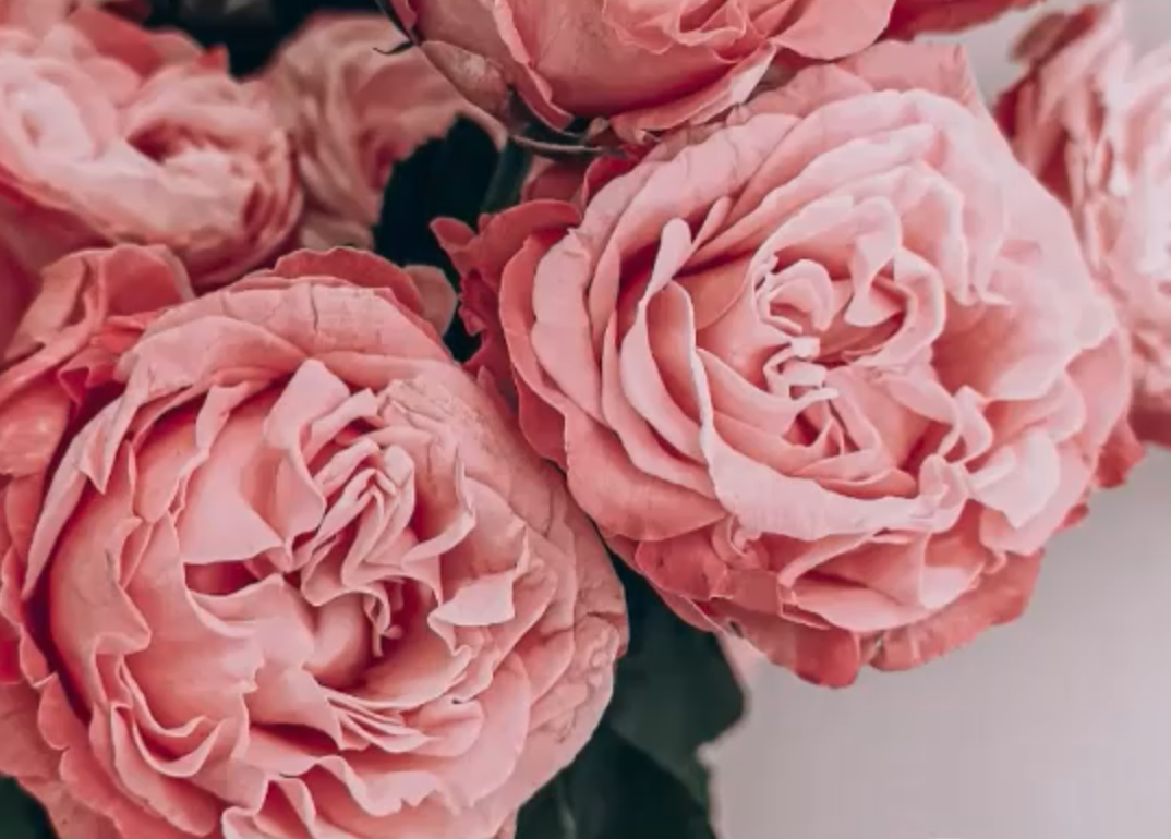 Vivez plus longtemps et mieux, sans médicaments