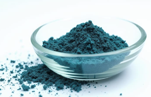 Les cyanobactéries : ce qu'un pigment bleu se souvient