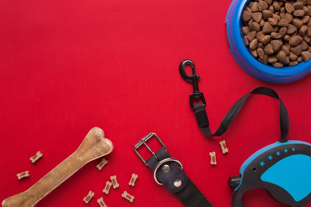 How To Find An Airbnb That Allows Pets [Airbnb's Pet Policy