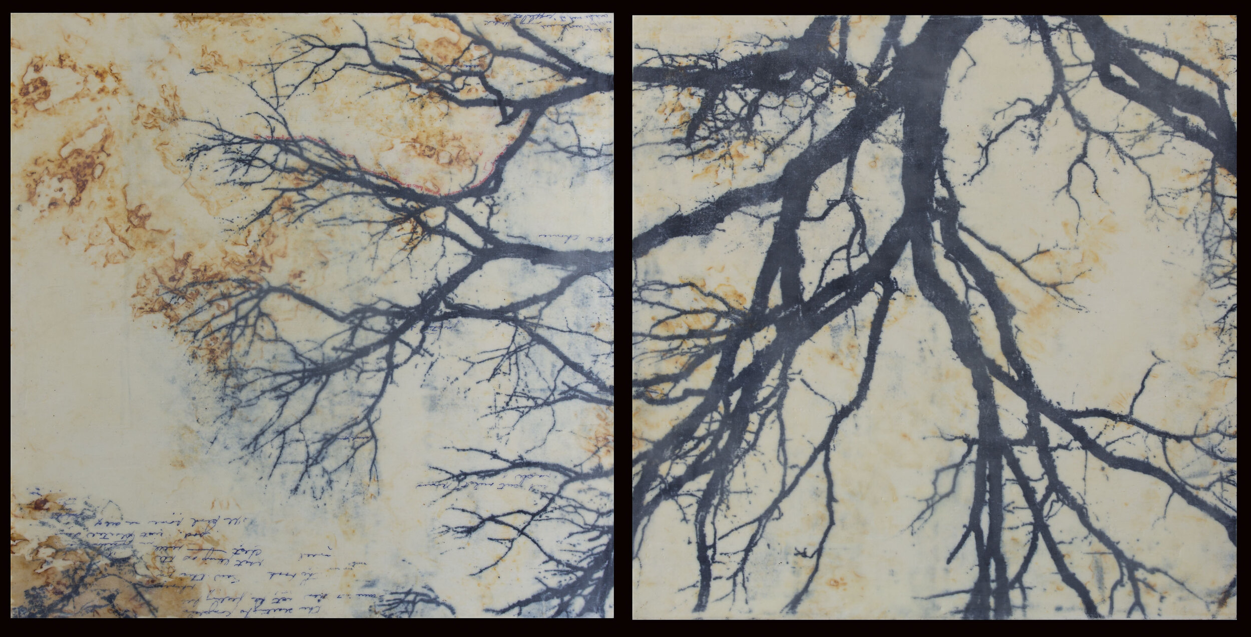   Branch Diptych , lithographic monoprint, rust print, encaustic on panel, 30 x 60 inches, SOLD 