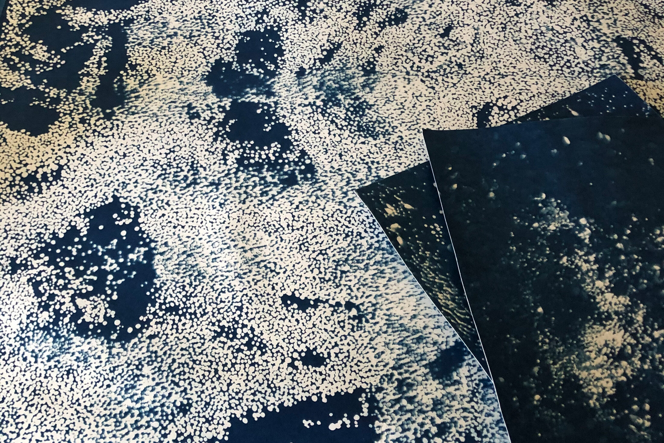 Exploring Cyanotype: In My Head and on The Paper — Christine Shannon Aaron
