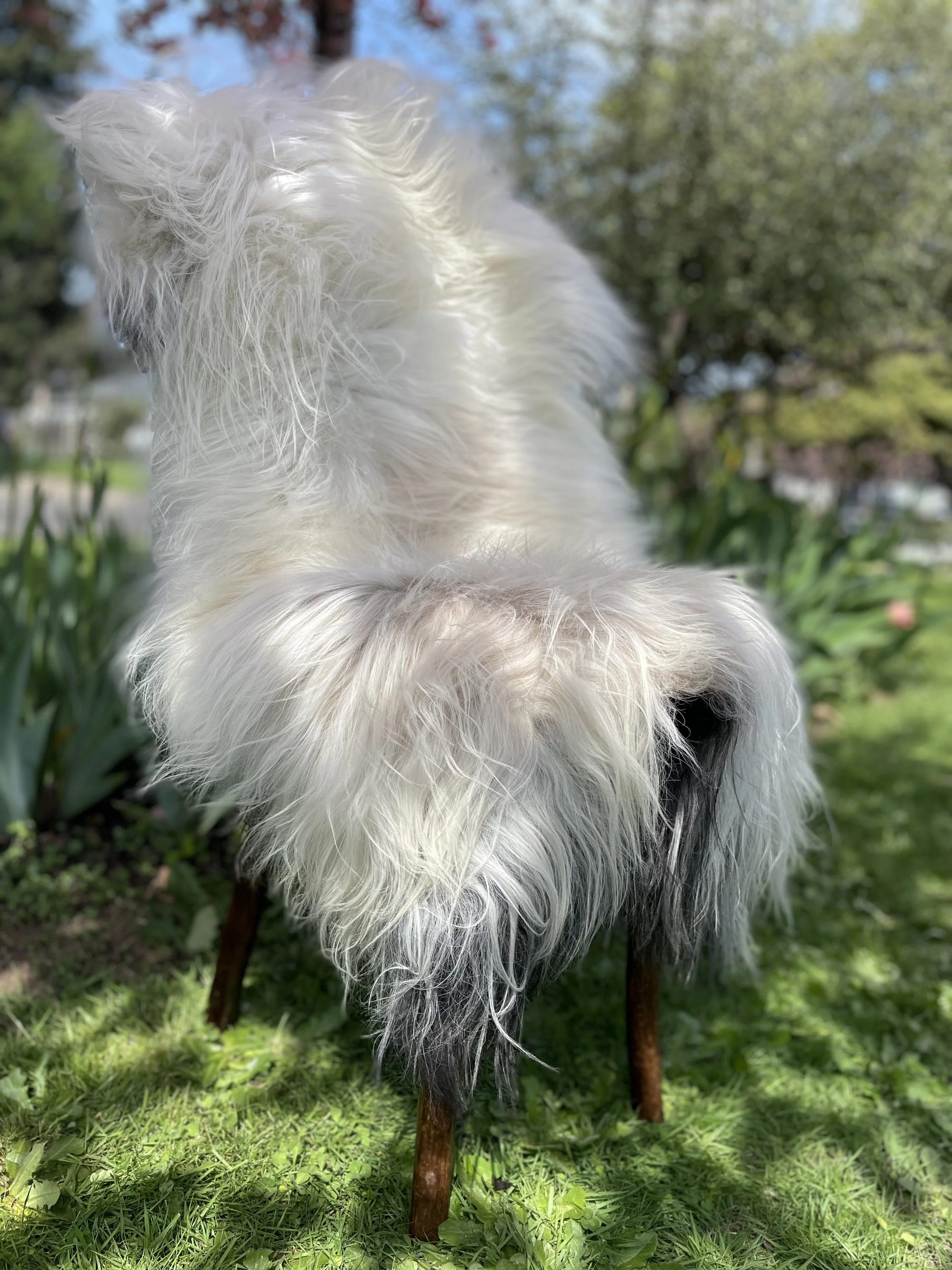 Icelandic Mixed Long Haired Sheepskin