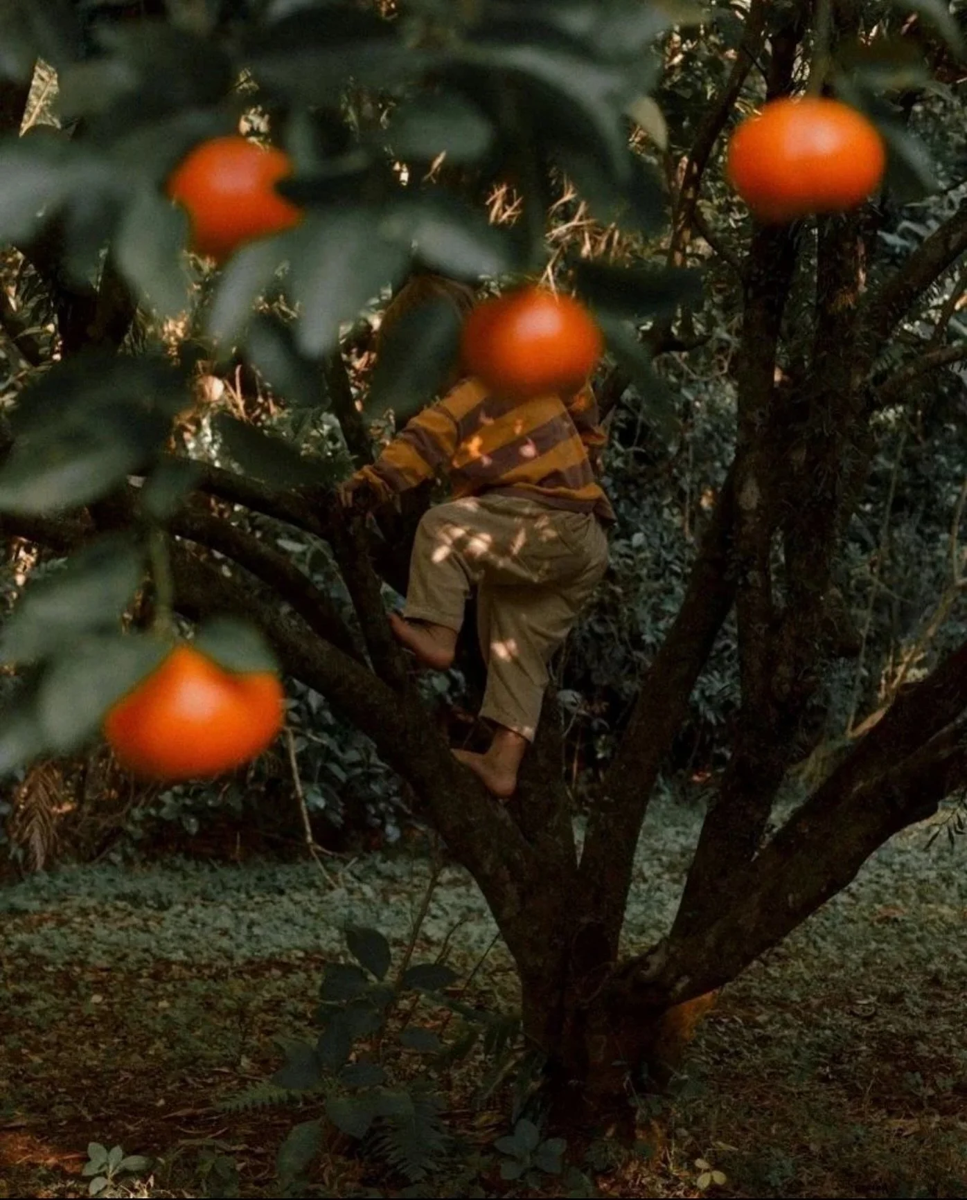 Thank you for all of the orders during the sale. Blending away. Coming your way. Everything will be completed &amp; shipped by the end of next week.

Slow and steady over here.
..Still making an effort to savor sweet little moments in between the jug