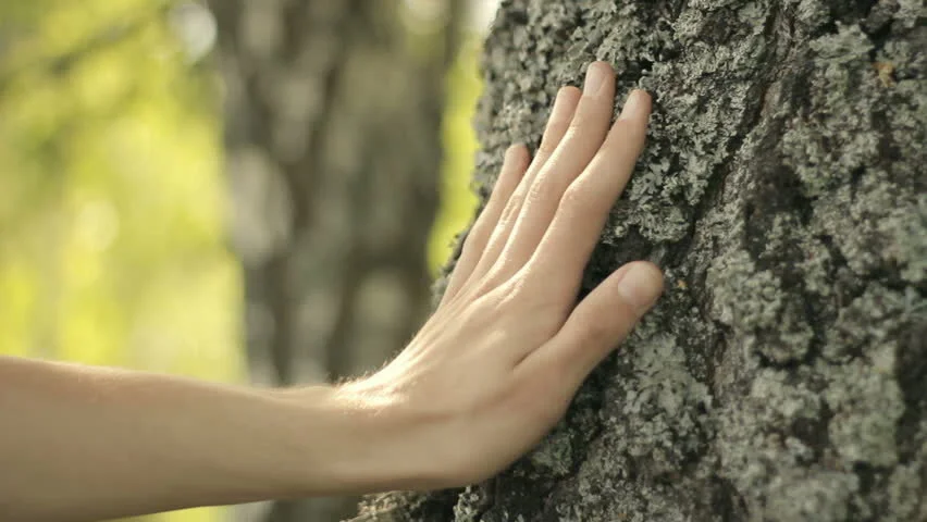 hand.jpg