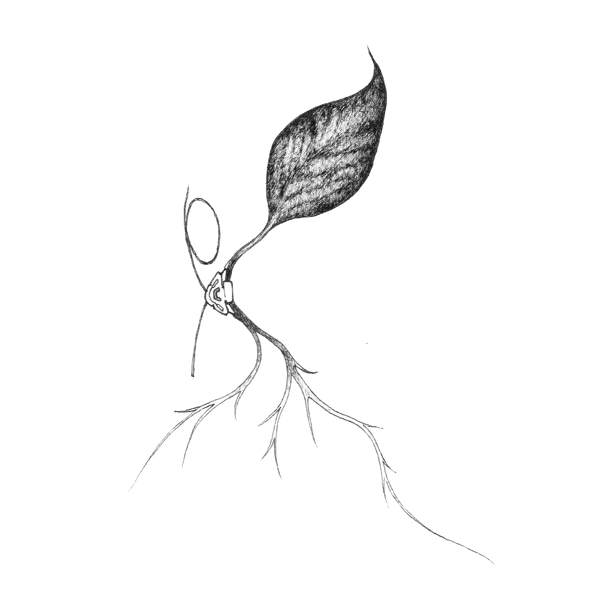 06_Tree Tech by Umair Zia.jpg