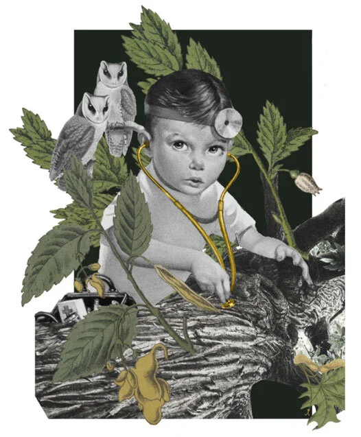 collage3.jpg