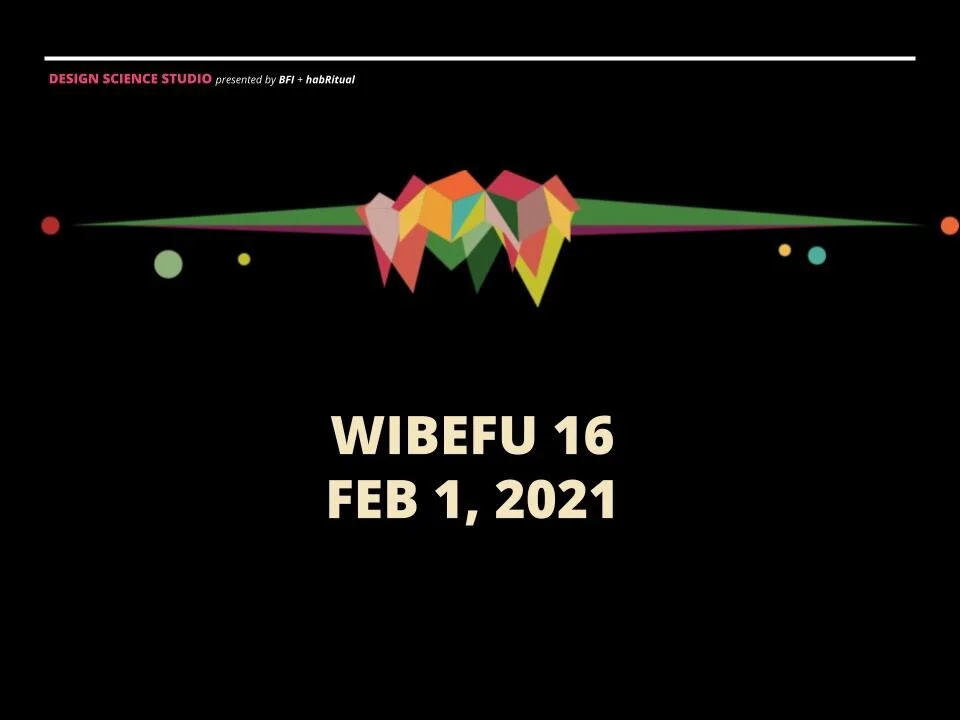 02/1 WIBEFU 16
