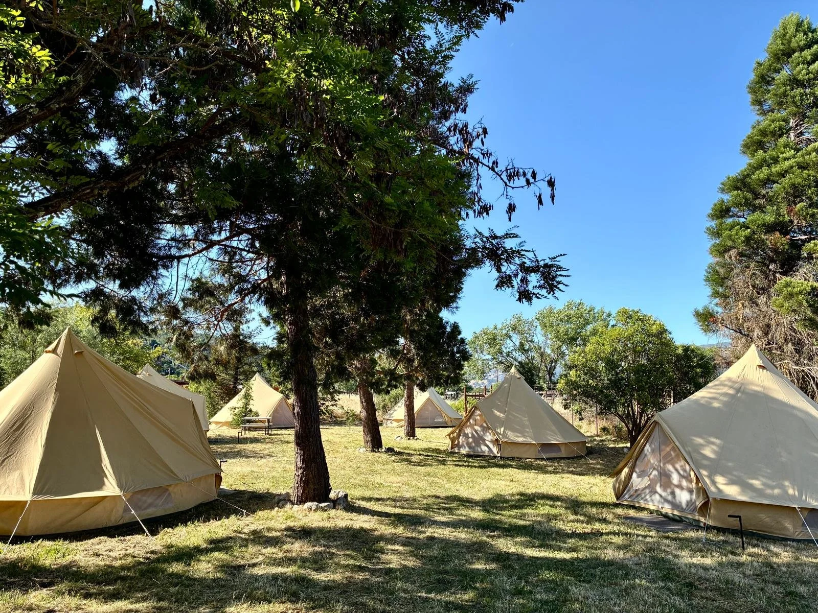bell tent ext.jpg