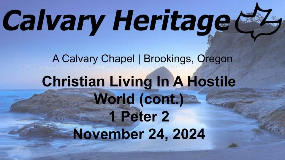 Christian Living In A Hostile World (cont.) // 1 Peter 2 // November 24, 2024 episode artwork