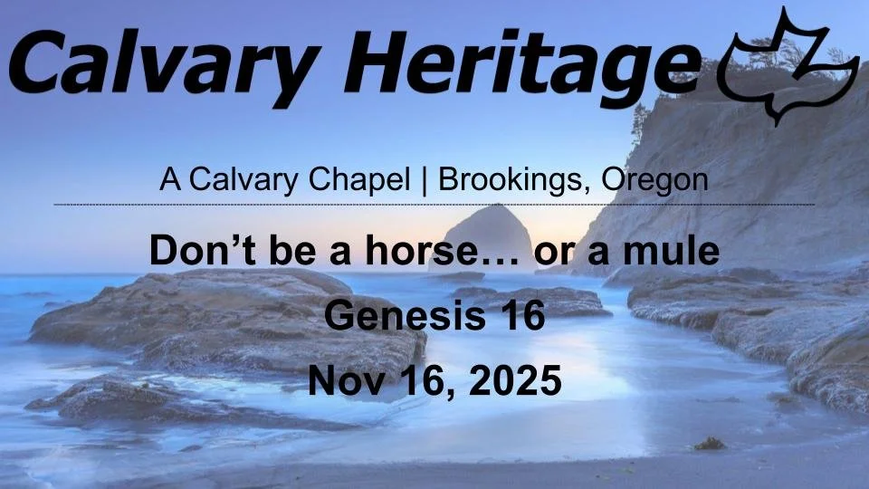 "Don't be a horse... or a mule" // Genesis 16 // November 16, 2025 episode artwork