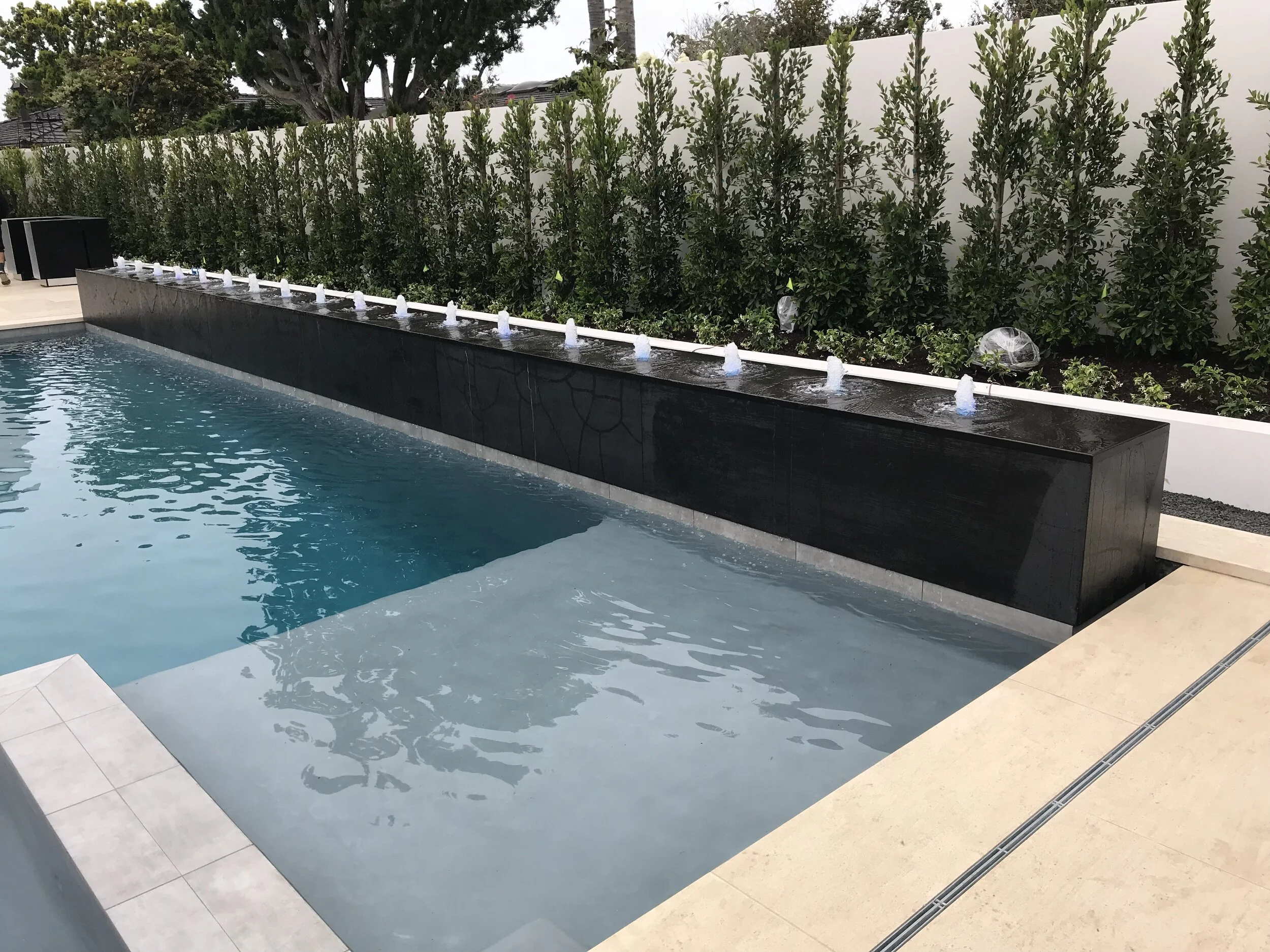 NELLIGAN FOUNTAIN Across Pool.jpeg