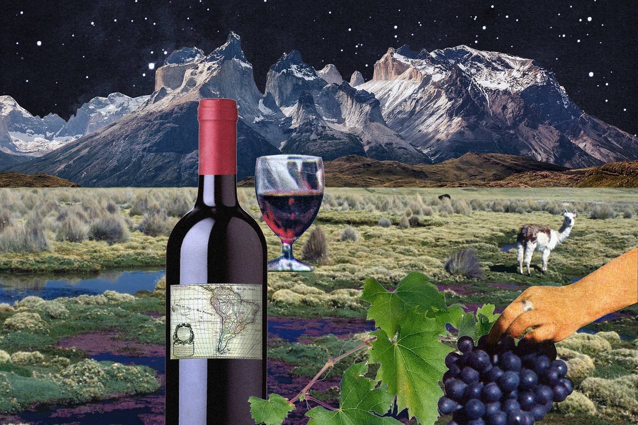 If you like Cabernet from California, try a Chilean Cab!