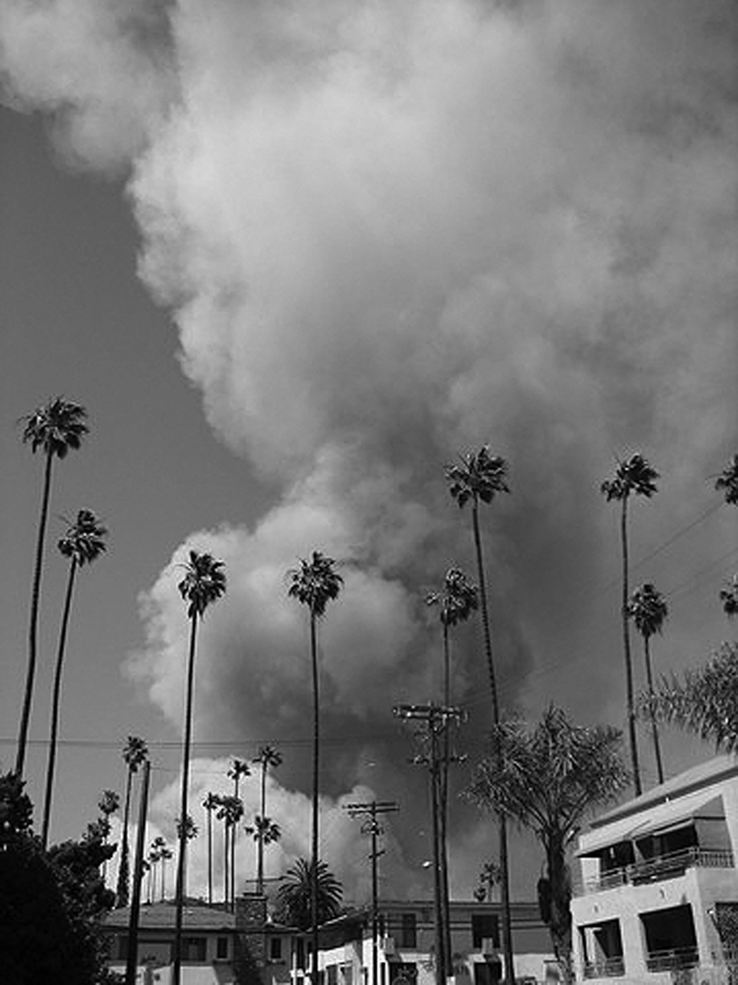 DS-Griffith Park-2007-34.jpg